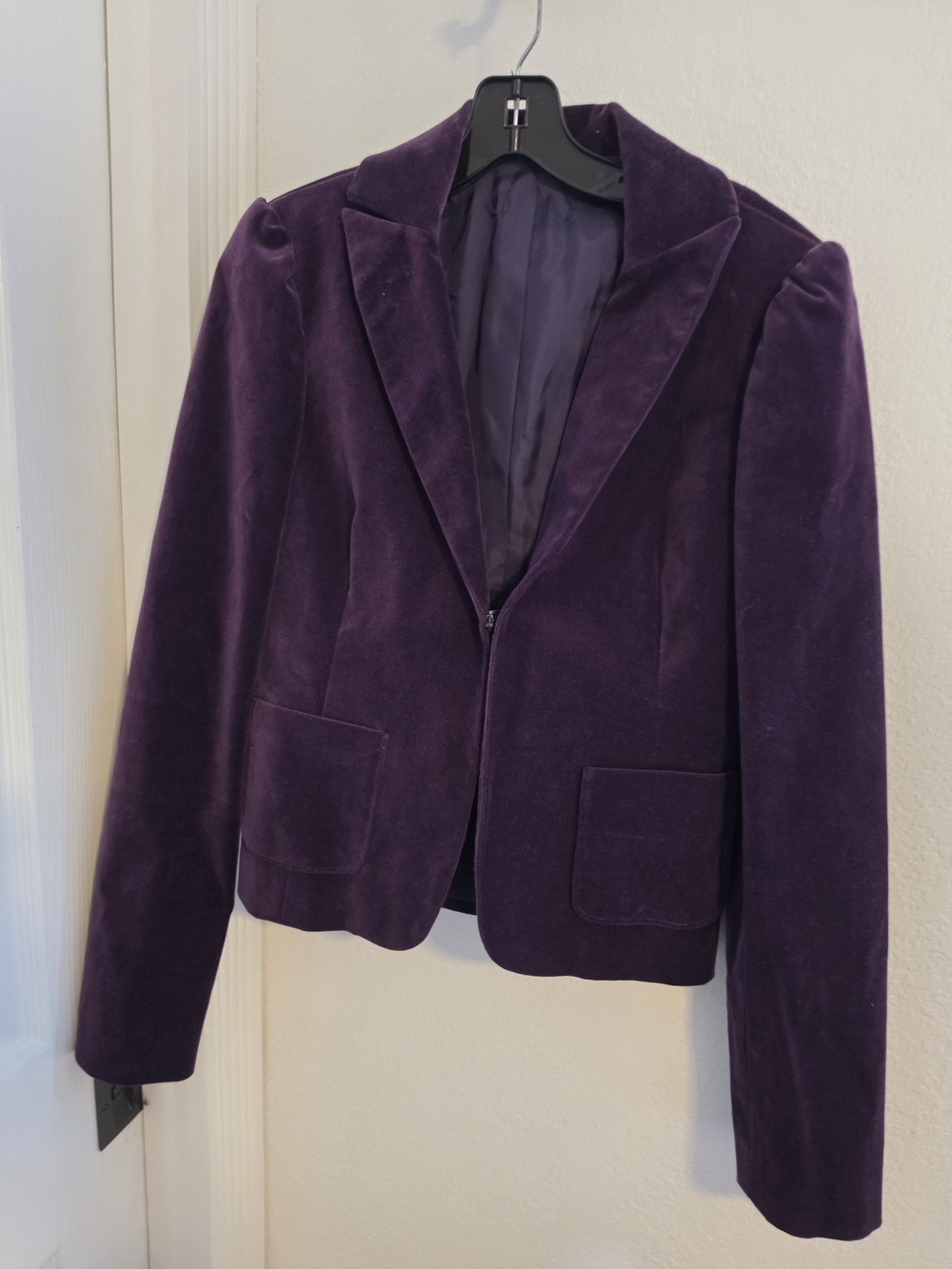 Women's Purple Velvet Blazer Jacket